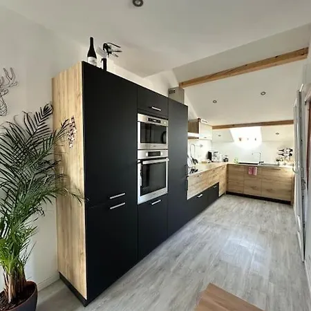 Spacieux T3 Pieds Des Montagnes Apartment